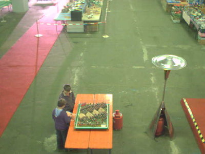 halle32130.jpg (21.9 KiB) 1149 mal betrachtet halle32130.jpg