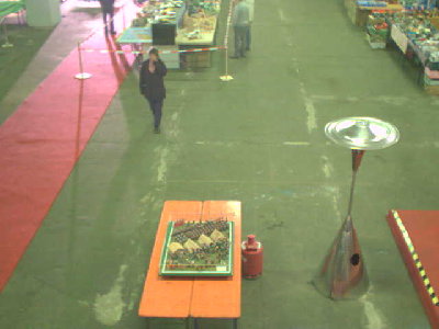 halle32215.jpg (21.79 KiB) 1163 mal betrachtet halle32215.jpg