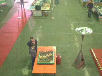 halle32223.jpg (22.03 KiB) 1164 mal betrachtet halle32223.jpg