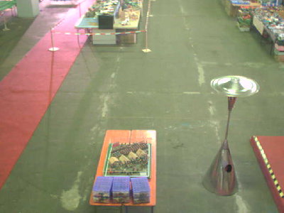 halle30800.jpg (21.17 KiB) 1042 mal betrachtet 08:00<br />Wann geht´s los?