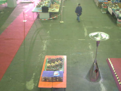 halle31652.jpg (21.26 KiB) 908 mal betrachtet halle31652.jpg