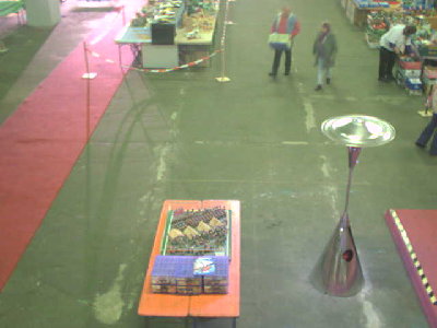 halle31710.jpg (22.27 KiB) 915 mal betrachtet halle31710.jpg