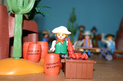 playmo760.jpg