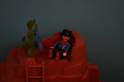 playmo1105.jpg