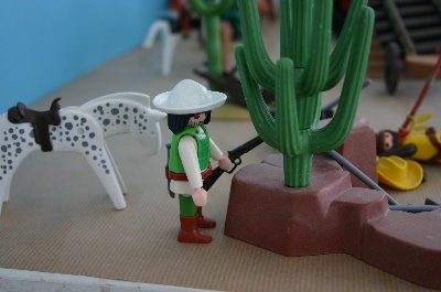 playmo1137.jpg