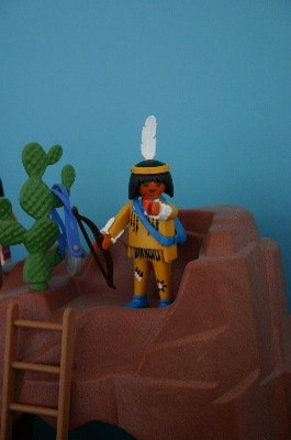 playmo1141.jpg