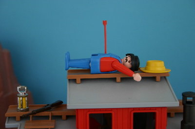 playmo1142.jpg