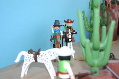 playmo1145.jpg