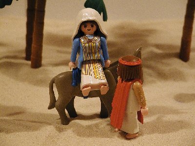 17-oase-z.JPG (200.36 KiB) 1009 mal betrachtet &quot;Morgen sind wir am Ziel!&quot;