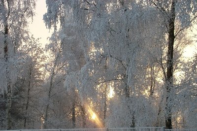 Winterlandscghaft.JPG