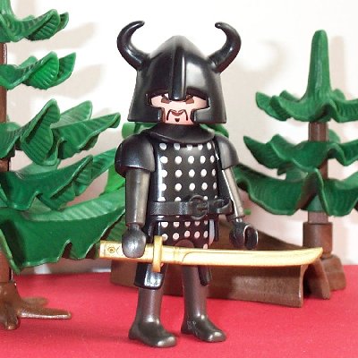 Samurai.JPG