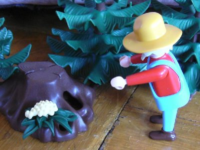 021.JPG (85.89 KiB) 713 mal betrachtet 021.JPG