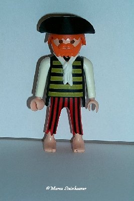 Pirat5.jpg (135.14 KiB) 954 mal betrachtet Pirat5.jpg