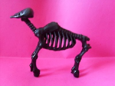 kk-SD532248.JPG (58.87 KiB) 600 mal betrachtet kk-SD532248.JPG