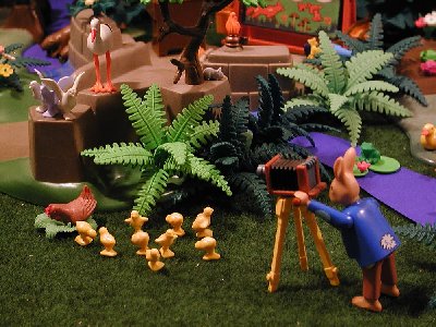 Osterhasenfotograf5.jpg