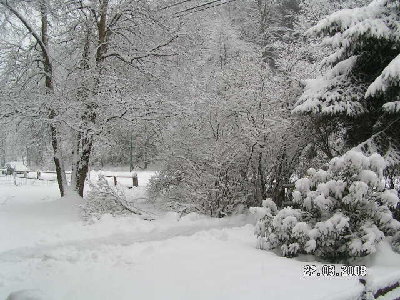 ostern 2008 009.jpg (106.79 KiB) 1181 mal betrachtet ostern 2008 009.jpg