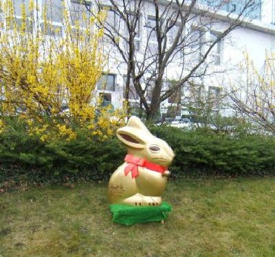 ostern003.jpg (39.01 KiB) 1073 mal betrachtet ostern003.jpg