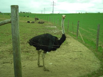 PICT3720 - Kopie [].JPG