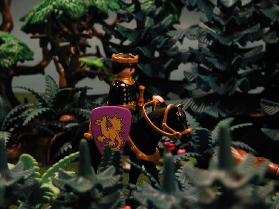 012 Fabian in Wald.JPG (122.93 KiB) 828 mal betrachtet Er erreichte den großen Wald vor Tröndby, der Hauptstadt der Turmritter.