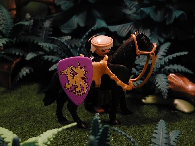 025 Novize hinter Pferd.jpg