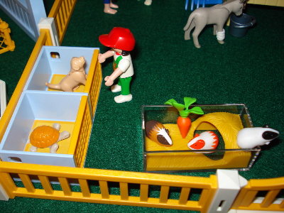 Klinik5.jpg