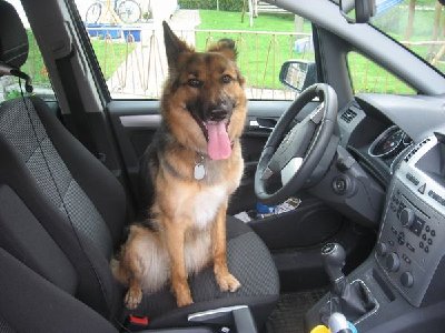 Auto 002.JPG (46.94 KiB) 700 mal betrachtet Auto 002.JPG