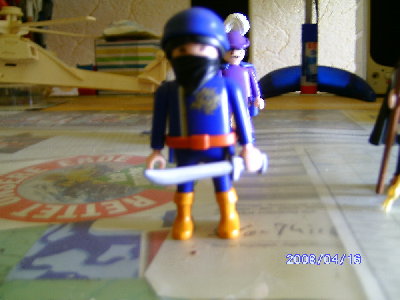 Ninja Front 2.JPG