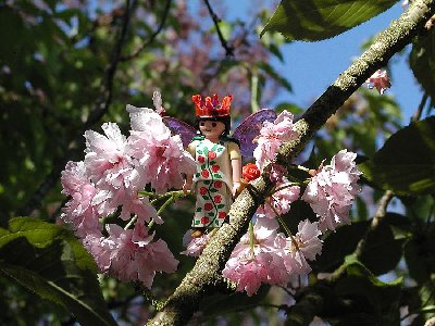 Bluetenfee Kirsche rosa.jpg