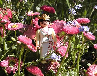 Bluetenfee  rosa.jpg