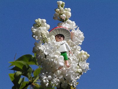 Pilzelfe weiss2.jpg