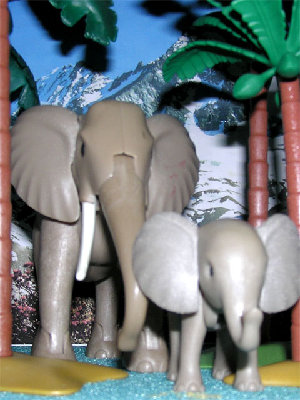 muecke.jpg (89.32 KiB) 680 mal betrachtet muecke.jpg