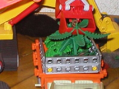 P1010938.JPG (64.5 KiB) 1049 mal betrachtet P1010938.JPG