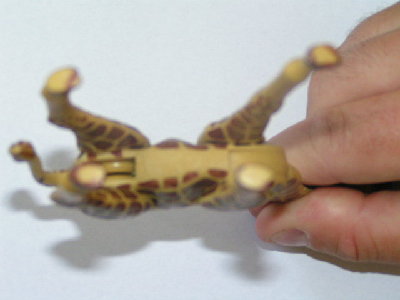 giraffe (2).JPG