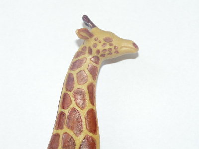 giraffe (1).JPG