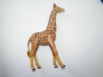 giraffe.JPG