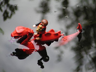 Nehle01 auf dem Wasser2.jpg (124.1 KiB) 640 mal betrachtet Nehle01 auf dem Wasser2.jpg