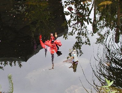 Nehle04 auf dem Wasser5.jpg