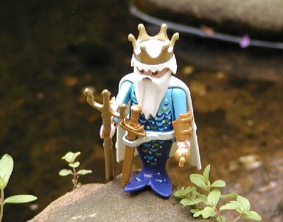 Nehle08 Seekoenig00 Komm an Land2.jpg (162.54 KiB) 905 mal betrachtet Nehle08 Seekoenig00 Komm an Land2.jpg