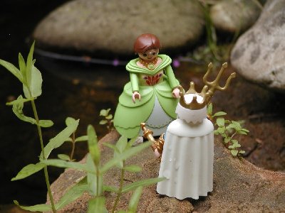 Nehle09 Seekoenig03 neues Kleid.jpg (153.58 KiB) 898 mal betrachtet Nehle09 Seekoenig03 neues Kleid.jpg