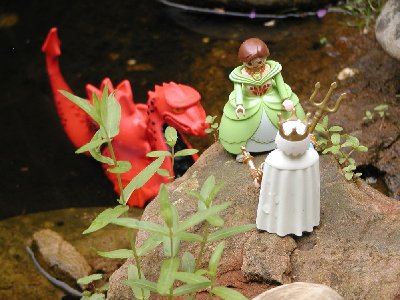 Nehle10 Seekoenig04 schoenes Kleid.jpg (184.29 KiB) 898 mal betrachtet Nehle10 Seekoenig04 schoenes Kleid.jpg