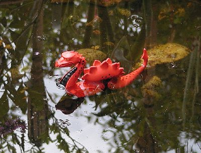 Nehle18 Nessi was nun.jpg (198.03 KiB) 905 mal betrachtet Nehle18 Nessi was nun.jpg