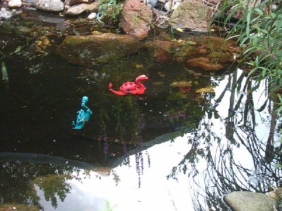 Nassie 1.jpg (229.88 KiB) 903 mal betrachtet Nassie 1.jpg