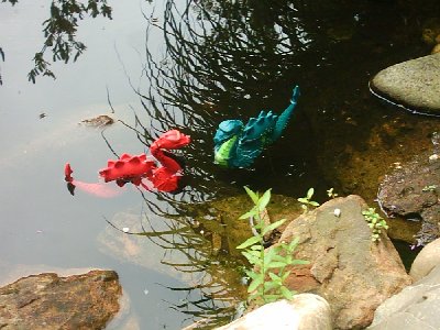 Nassie 2 Hallo2.jpg (192.2 KiB) 903 mal betrachtet Nassie 2 Hallo2.jpg