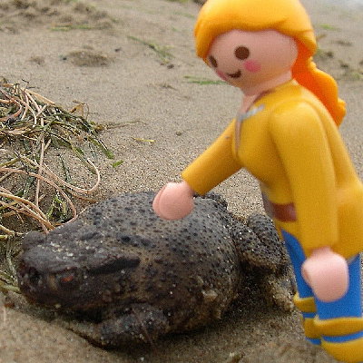 Lil132.JPG (249.04 KiB) 741 mal betrachtet Lil132.JPG