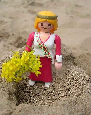 Lil135.JPG (164.55 KiB) 1018 mal betrachtet Lil135.JPG