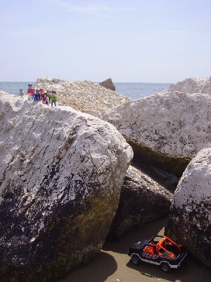 PICT1537_1.jpg