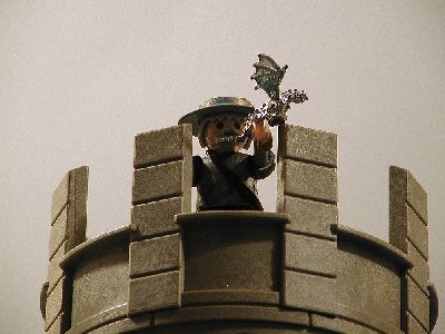 Don Quichotte auf Turm2.jpg (205.05 KiB) 1160 mal betrachtet &quot;Und nun, meine liebe Brieftaube, finde den Weg zu meiner Dulcinea!&quot;<br /><br />&quot;Hm, die haben hier aber eine besondere Sorte Tauben!&quot;