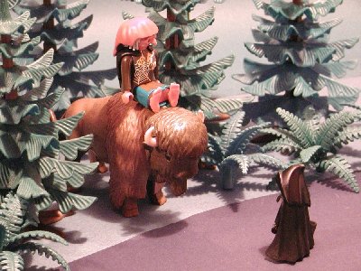 Yedis Bison.jpg