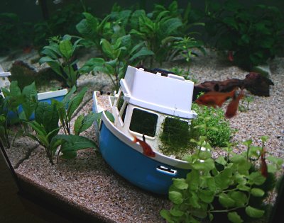 front.jpg (187.56 KiB) 676 mal betrachtet front.jpg