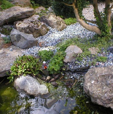 P1011169.JPG (351.73 KiB) 625 mal betrachtet P1011169.JPG